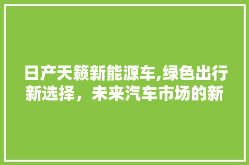 日产天籁新能源车,绿色出行新选择，未来汽车市场的新宠