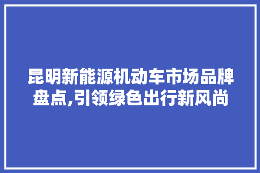 昆明新能源机动车市场品牌盘点,引领绿色出行新风尚