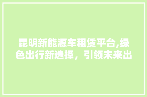 昆明新能源车租赁平台,绿色出行新选择，引领未来出行潮流