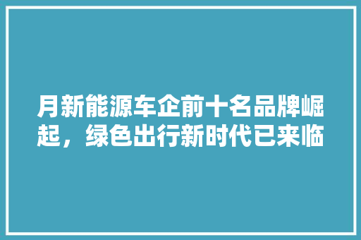 月新能源车企前十名品牌崛起，绿色出行新时代已来临