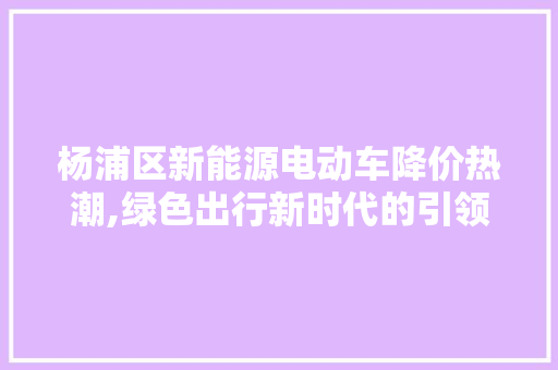 杨浦区新能源电动车降价热潮,绿色出行新时代的引领者