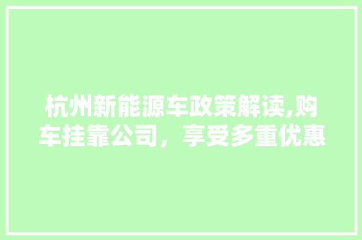杭州新能源车政策解读,购车挂靠公司，享受多重优惠 车型评测