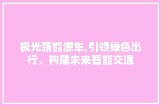 极光新能源车,引领绿色出行，构建未来智能交通