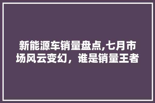 新能源车销量盘点,七月市场风云变幻，谁是销量王者
