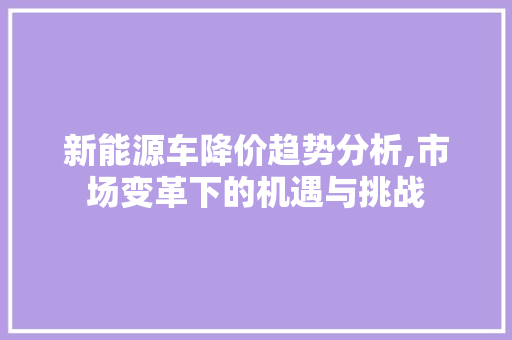 新能源车降价趋势分析,市场变革下的机遇与挑战