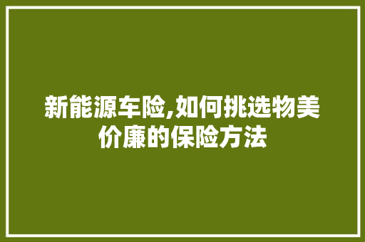 新能源车险,如何挑选物美价廉的保险方法
