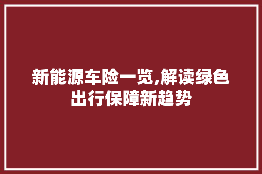 新能源车险一览,解读绿色出行保障新趋势