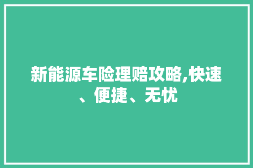 新能源车险理赔攻略,快速、便捷、无忧