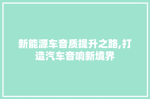 新能源车音质提升之路,打造汽车音响新境界