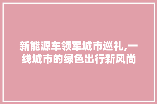 新能源车领军城市巡礼,一线城市的绿色出行新风尚