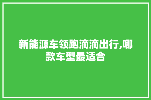 新能源车领跑滴滴出行,哪款车型最适合