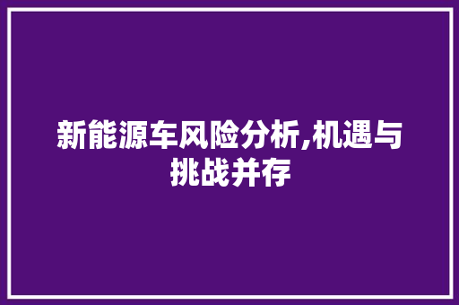 新能源车风险分析,机遇与挑战并存