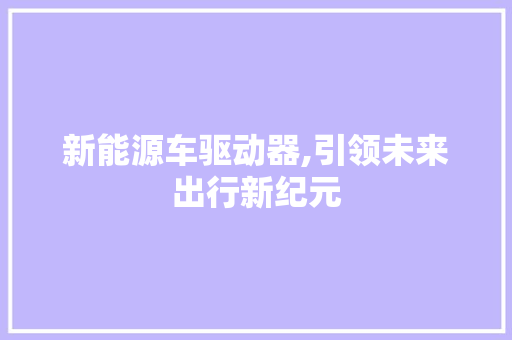 新能源车驱动器,引领未来出行新纪元
