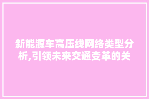 新能源车高压线网络类型分析,引领未来交通变革的关键