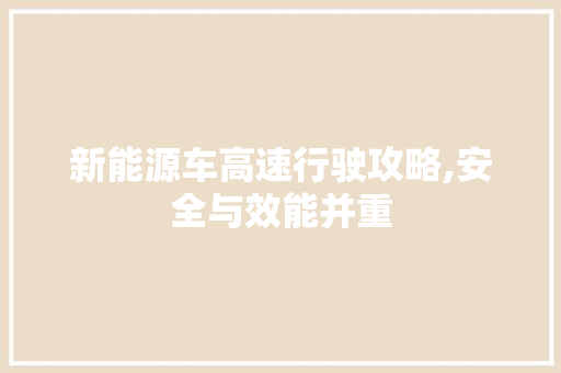 新能源车高速行驶攻略,安全与效能并重