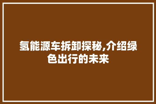 氢能源车拆卸探秘,介绍绿色出行的未来