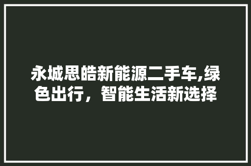永城思皓新能源二手车,绿色出行，智能生活新选择