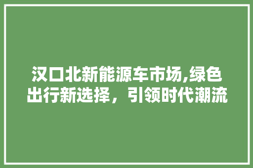 汉口北新能源车市场,绿色出行新选择，引领时代潮流