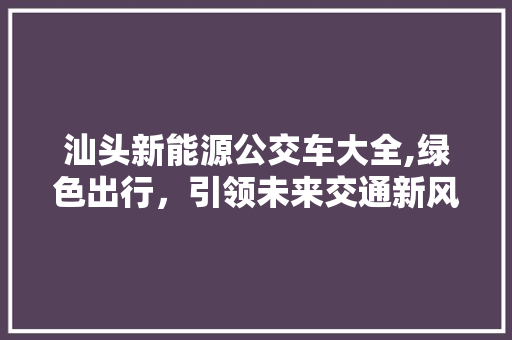 汕头新能源公交车大全,绿色出行，引领未来交通新风尚