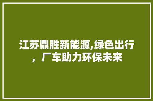 江苏鼎胜新能源,绿色出行，厂车助力环保未来