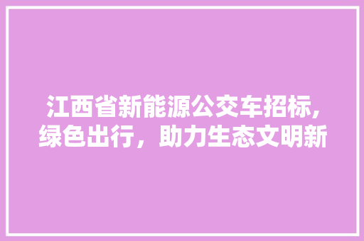 江西省新能源公交车招标,绿色出行，助力生态文明新时代 汽车配件