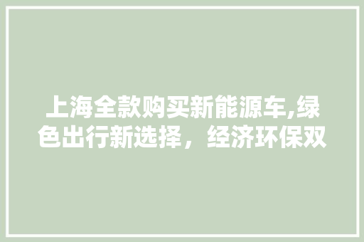 上海全款购买新能源车,绿色出行新选择，经济环保双赢之路
