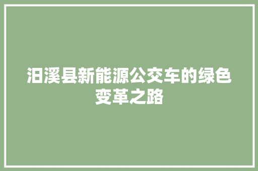 汨溪县新能源公交车的绿色变革之路