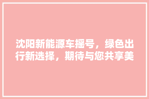 沈阳新能源车摇号，绿色出行新选择，期待与您共享美好未来