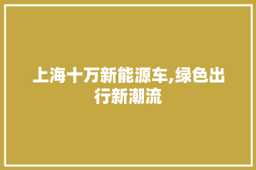 上海十万新能源车,绿色出行新潮流 汽车轮胎