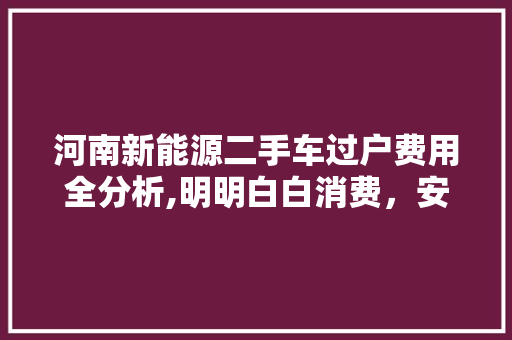 河南新能源二手车过户费用全分析,明明白白消费，安心上路