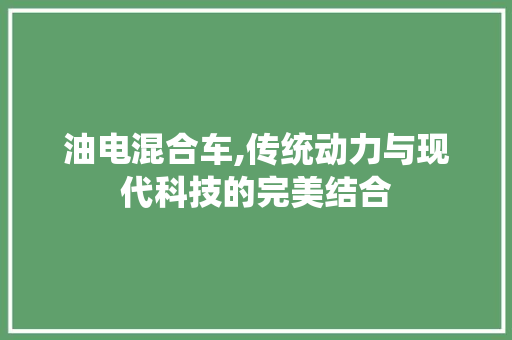 油电混合车,传统动力与现代科技的完美结合 汽车展览