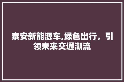 泰安新能源车,绿色出行，引领未来交通潮流