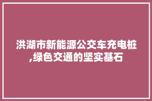 洪湖市新能源公交车充电桩,绿色交通的坚实基石