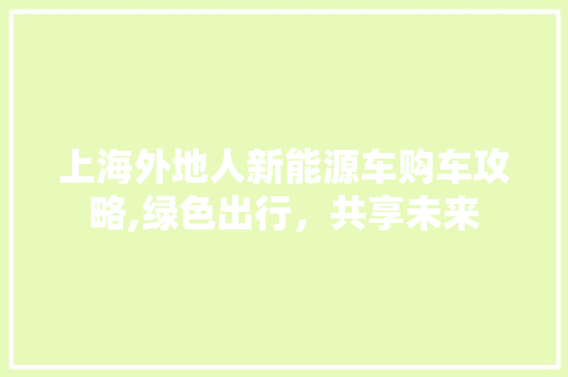 上海外地人新能源车购车攻略,绿色出行，共享未来
