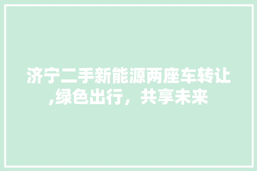 济宁二手新能源两座车转让,绿色出行，共享未来