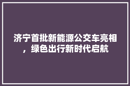 济宁首批新能源公交车亮相，绿色出行新时代启航