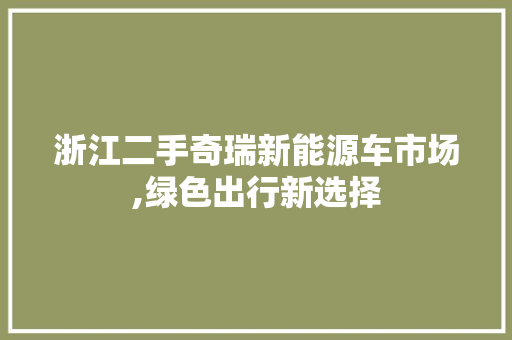 浙江二手奇瑞新能源车市场,绿色出行新选择