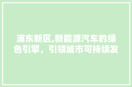浦东新区,新能源汽车的绿色引擎，引领城市可持续发展