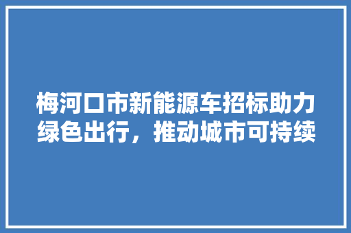 梅河口市新能源车招标助力绿色出行，推动城市可持续发展