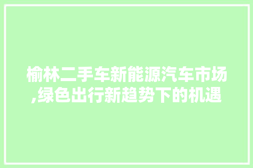 榆林二手车新能源汽车市场,绿色出行新趋势下的机遇与挑战