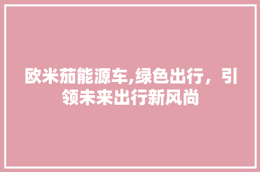 欧米茄能源车,绿色出行，引领未来出行新风尚