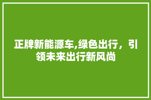 正牌新能源车,绿色出行，引领未来出行新风尚
