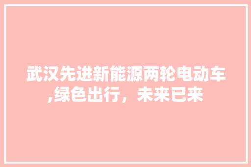 武汉先进新能源两轮电动车,绿色出行，未来已来