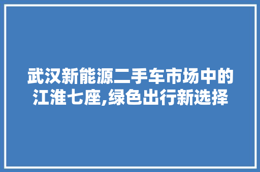 武汉新能源二手车市场中的江淮七座,绿色出行新选择