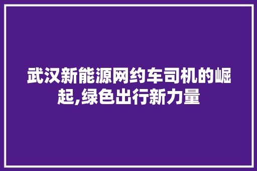 武汉新能源网约车司机的崛起,绿色出行新力量