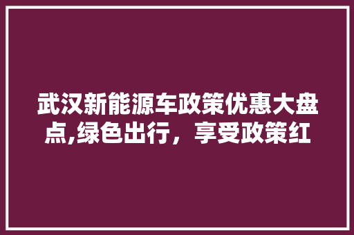 武汉新能源车政策优惠大盘点,绿色出行，享受政策红利