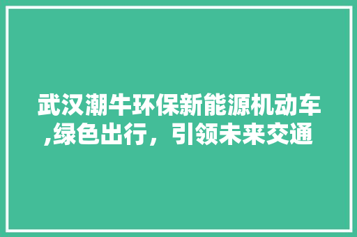 武汉潮牛环保新能源机动车,绿色出行，引领未来交通潮流