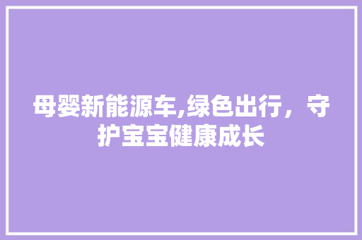 母婴新能源车,绿色出行，守护宝宝健康成长