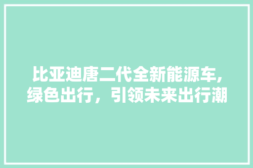 比亚迪唐二代全新能源车,绿色出行，引领未来出行潮流
