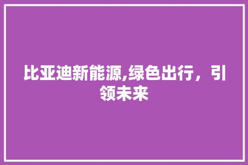 比亚迪新能源,绿色出行，引领未来